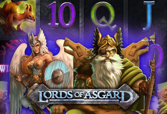 Gioca subito: Guida Passo Passo per Accedere al Casinò Spiderbets.